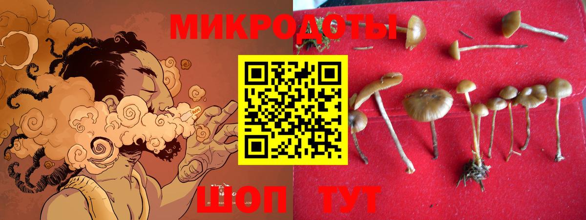  COCAIN Богданович